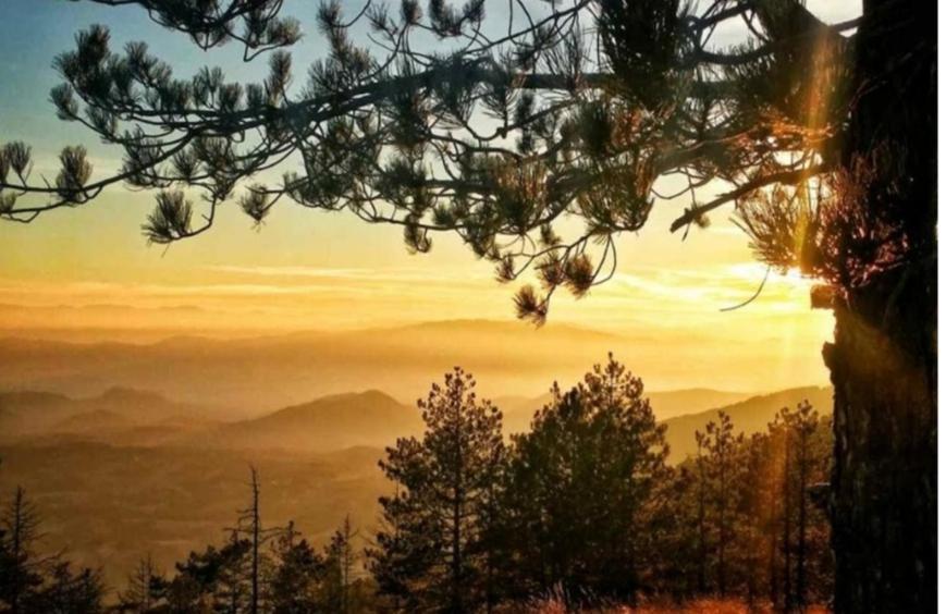 Divchy Dream Daire Divčibare Dış mekan fotoğraf