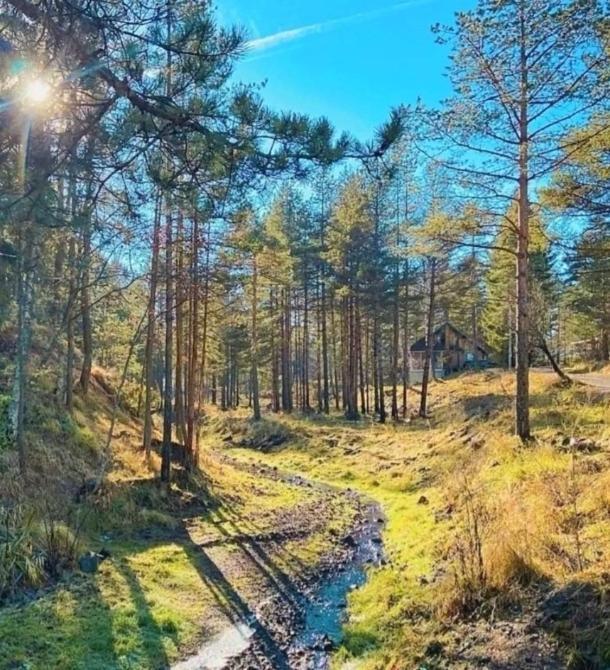 Divchy Dream Daire Divčibare Dış mekan fotoğraf
